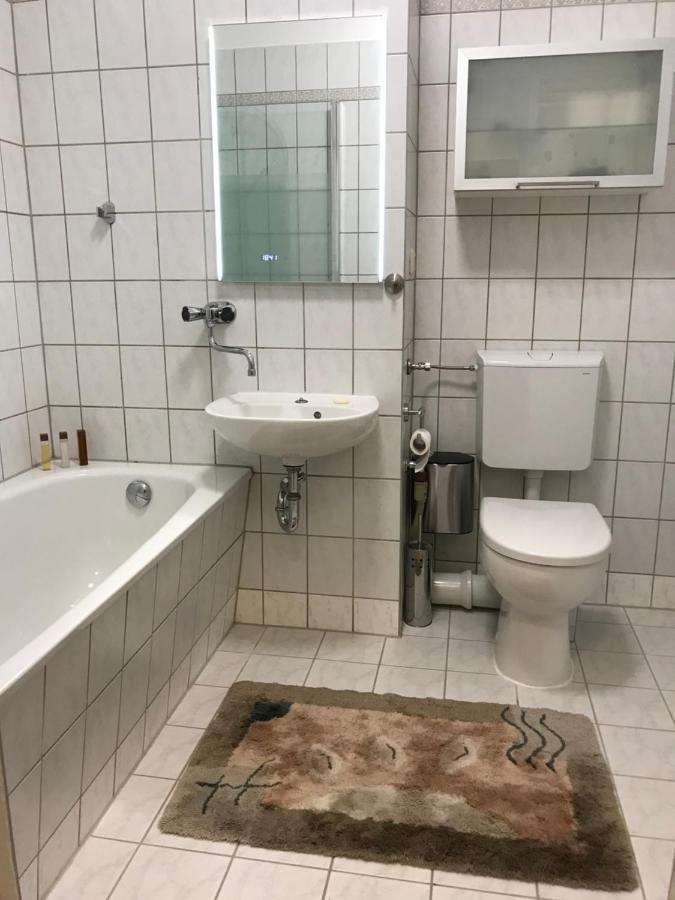Zentrumsnahe Leipzig-Apartments, Nahe Ufz Und Bmw Inkl Parkplatz Und Fahrraeder מראה חיצוני תמונה