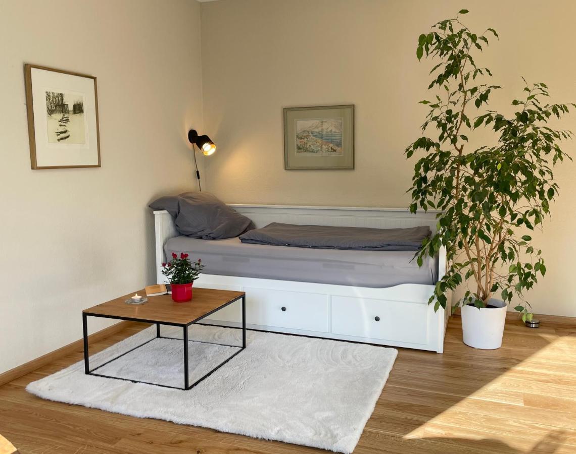 Zentrumsnahe Leipzig-Apartments, Nahe Ufz Und Bmw Inkl Parkplatz Und Fahrraeder מראה חיצוני תמונה